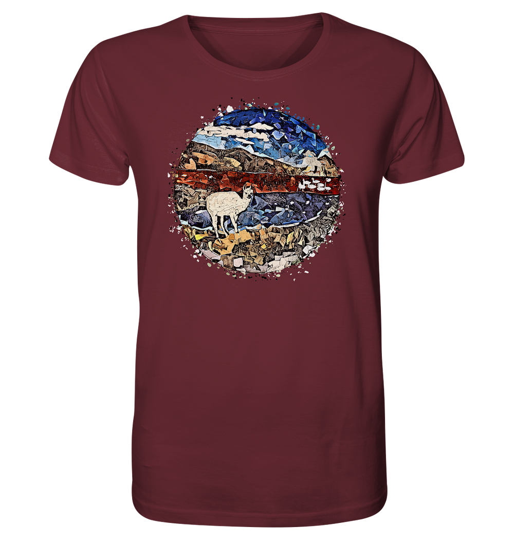 T-Shirt Laguna Colorada - Organic Shirt (100% organic cotton, various colors)